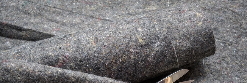 OVA誘導豚鼠哮喘模型