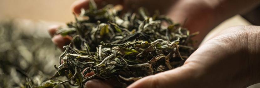 茶葉檢測(cè)
