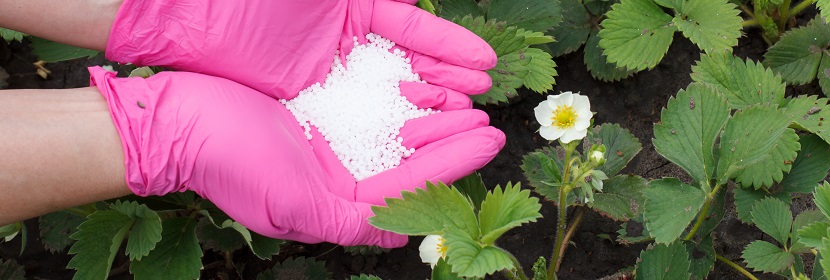 生物有機肥檢測
